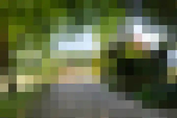 Hooijdonkseweg 4 Breda thumbnail 20