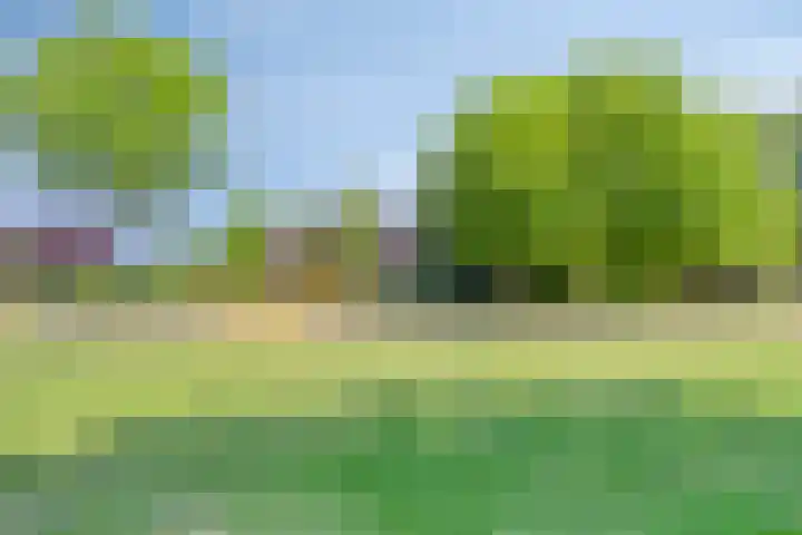 Hooijdonkseweg 4 Breda thumbnail 21