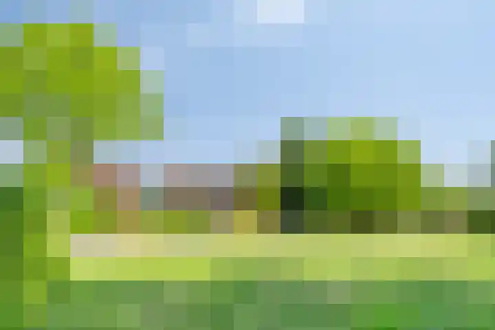 Hooijdonkseweg 4 Breda thumbnail 22
