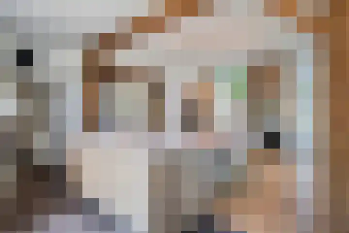 Hooijdonkseweg 4 Breda thumbnail 25