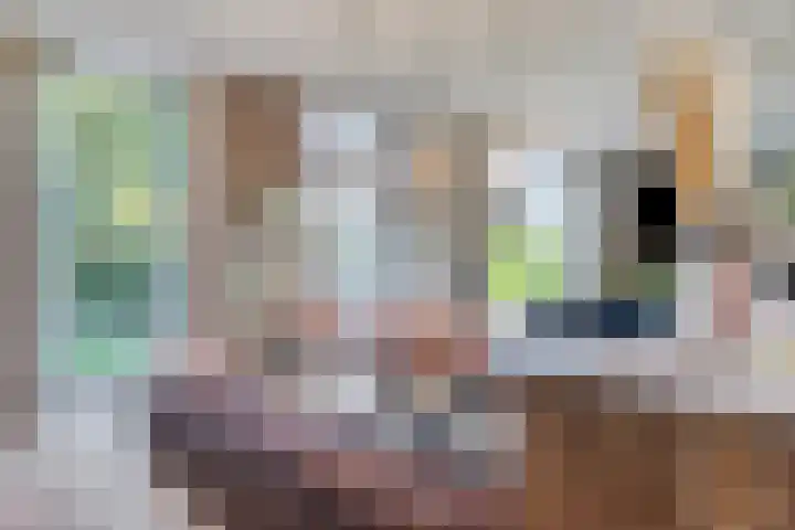 Hooijdonkseweg 4 Breda thumbnail 26