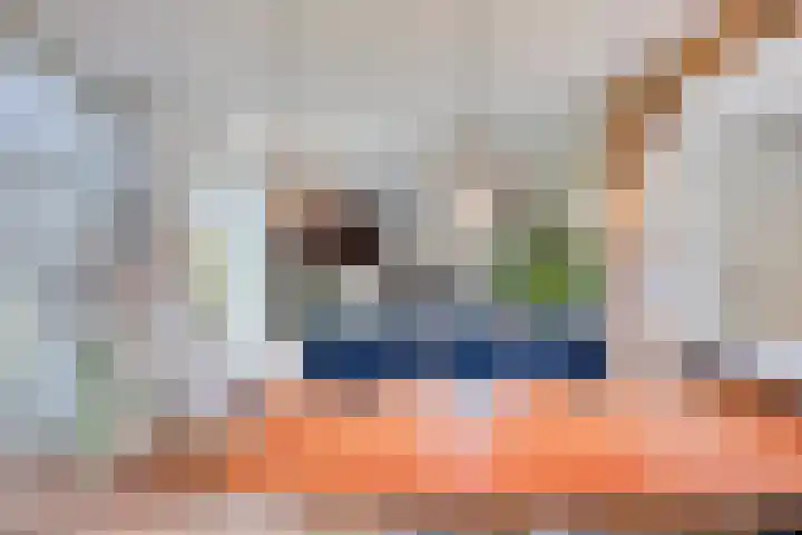 Hooijdonkseweg 4 Breda thumbnail 27
