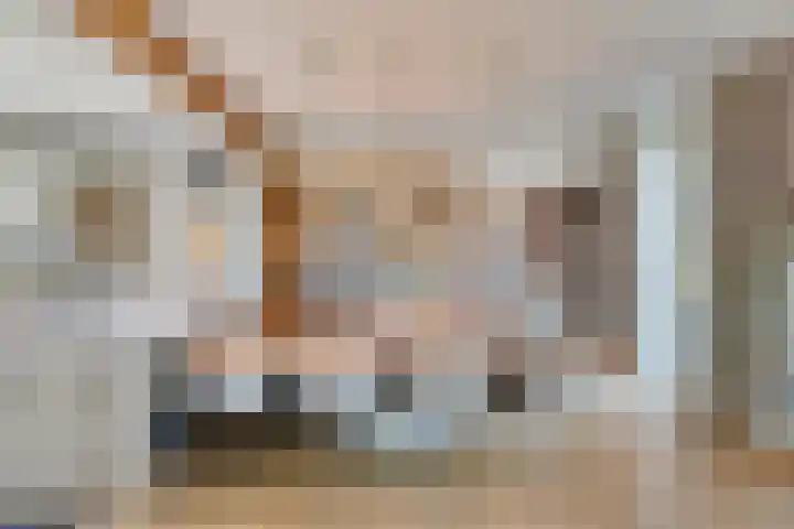 Hooijdonkseweg 4 Breda thumbnail 28