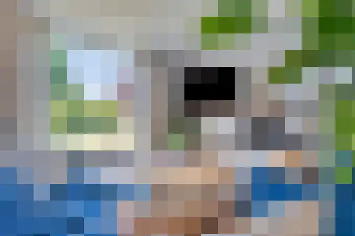 Hooijdonkseweg 4 Breda thumbnail 30