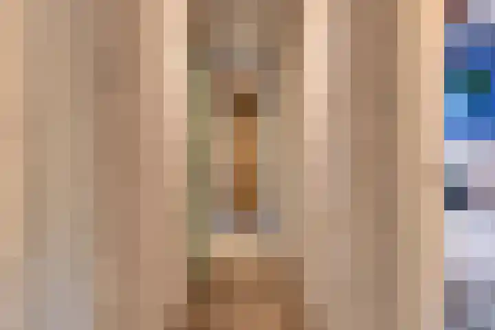 Hooijdonkseweg 4 Breda thumbnail 34