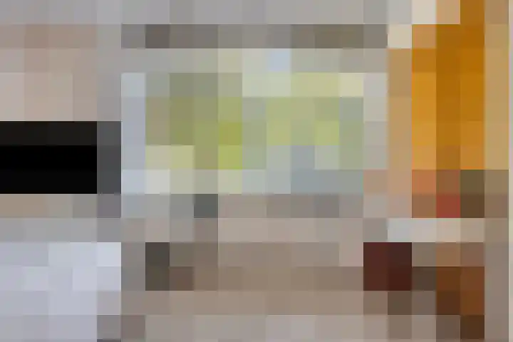 Hooijdonkseweg 4 Breda thumbnail 35