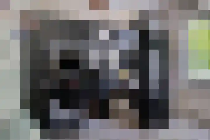 Hooijdonkseweg 4 Breda thumbnail 38