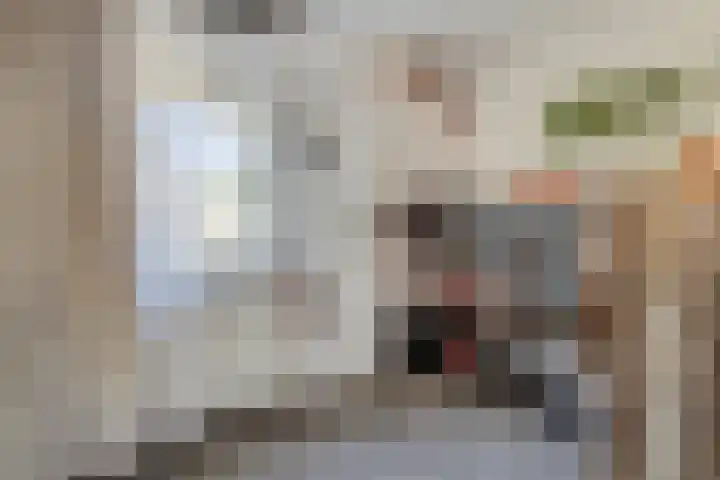 Hooijdonkseweg 4 Breda thumbnail 39