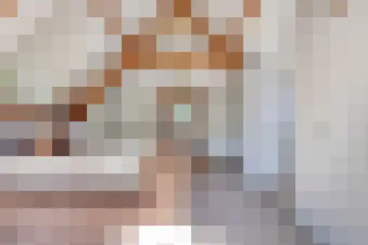 Hooijdonkseweg 4 Breda thumbnail 41