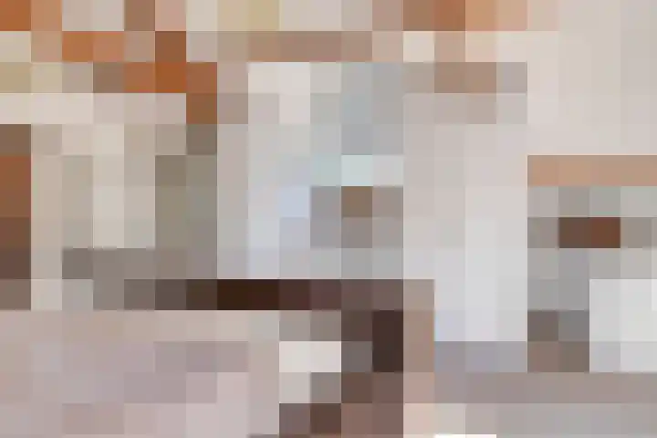 Hooijdonkseweg 4 Breda thumbnail 42