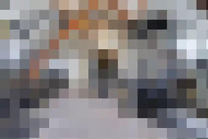 Hooijdonkseweg 4 Breda thumbnail 48