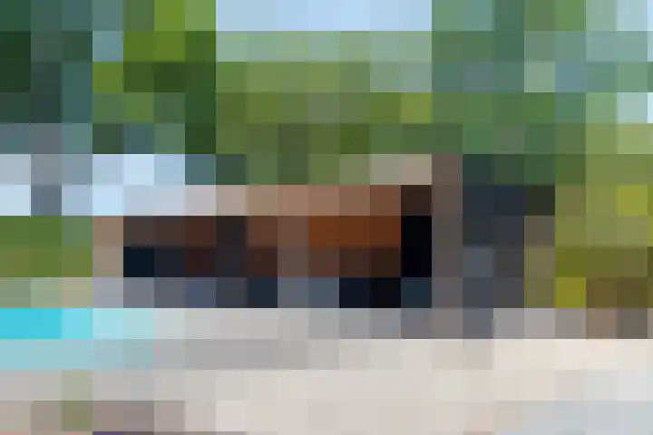 Hooijdonkseweg 4 Breda thumbnail 5