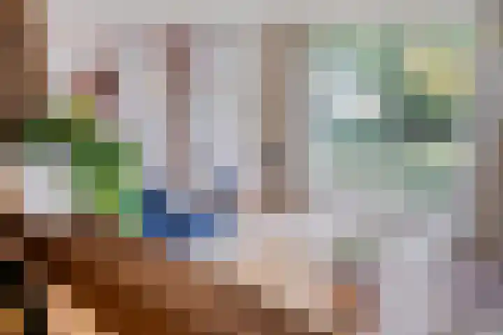 Hooijdonkseweg 4 Breda thumbnail 52