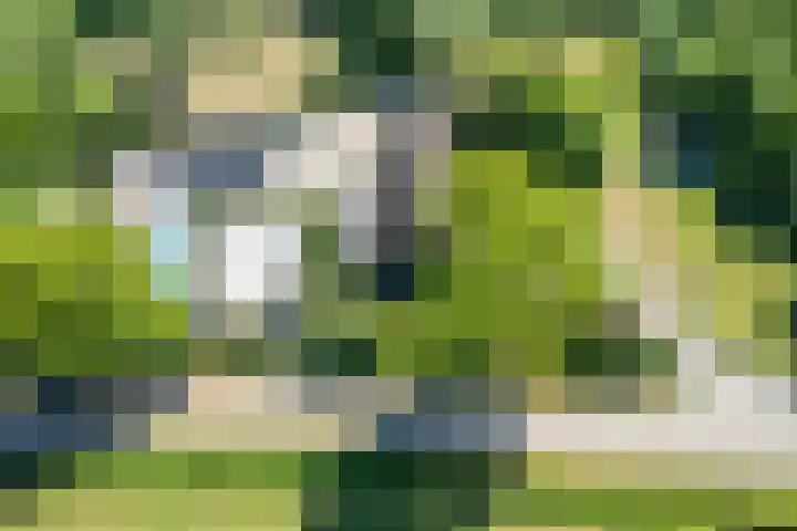 Hooijdonkseweg 4 Breda thumbnail 53