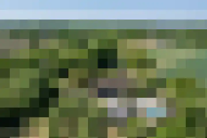 Hooijdonkseweg 4 Breda thumbnail 54