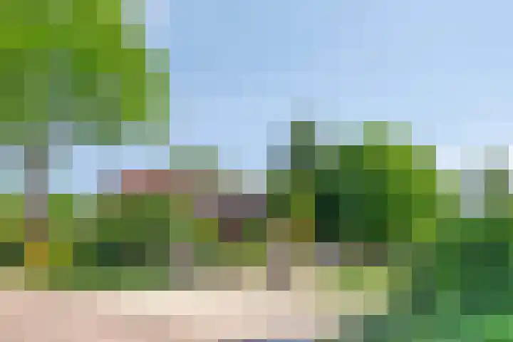 Hooijdonkseweg 4 Breda thumbnail 55