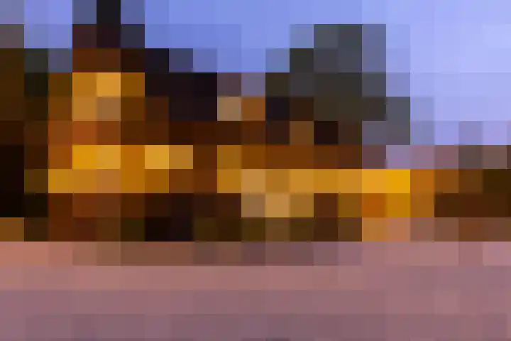 Hooijdonkseweg 4 Breda thumbnail 57