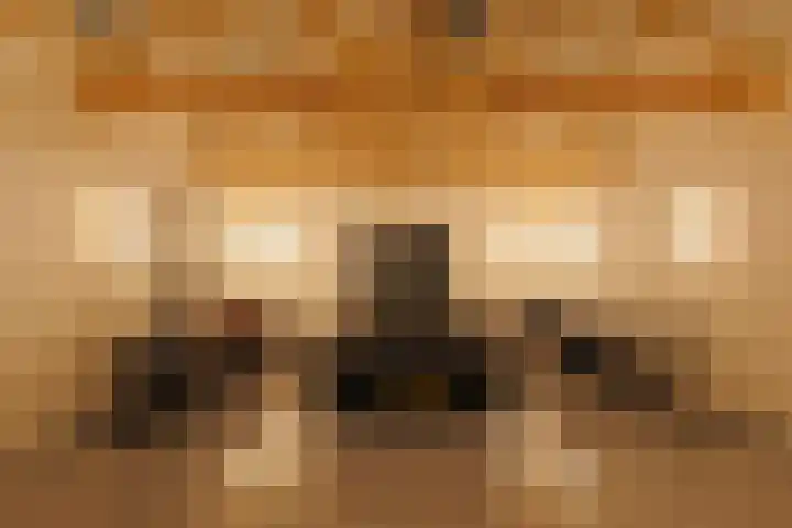Hooijdonkseweg 4 Breda thumbnail 60