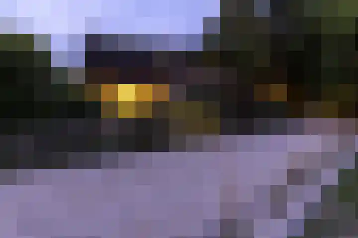 Hooijdonkseweg 4 Breda thumbnail 61