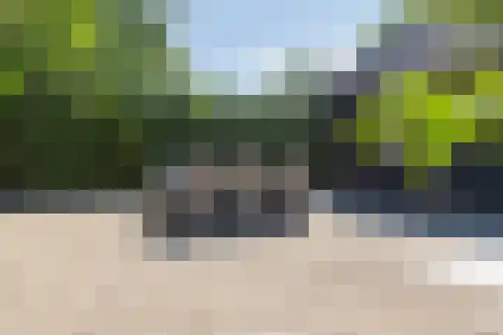 Hooijdonkseweg 4 Breda thumbnail 7