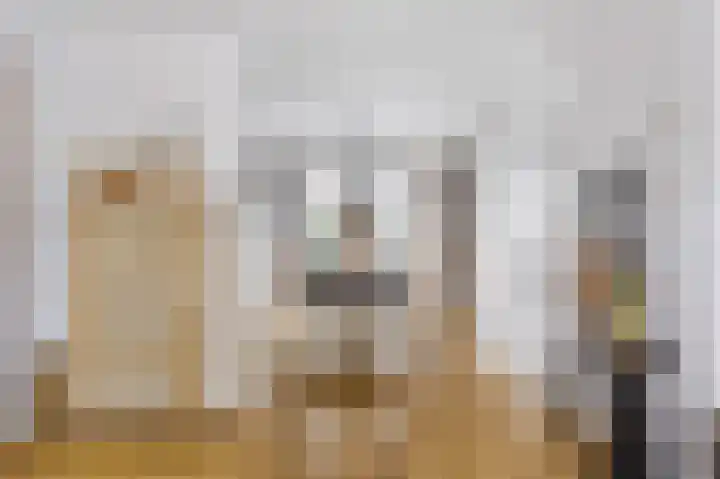 Hooijengastrjitte 16 Burgum thumbnail 12