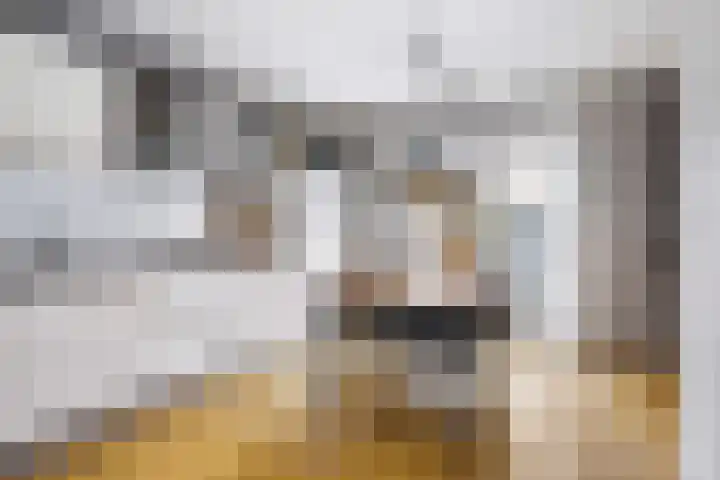 Hooijengastrjitte 16 Burgum thumbnail 13