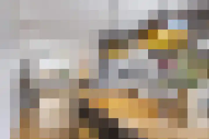 Hooijengastrjitte 16 Burgum thumbnail 14