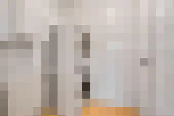 Hooijengastrjitte 16 Burgum thumbnail 15