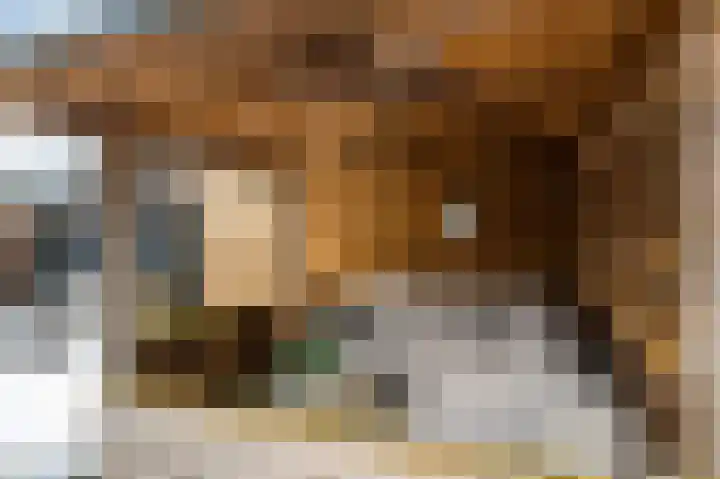 Hooijengastrjitte 16 Burgum thumbnail 19