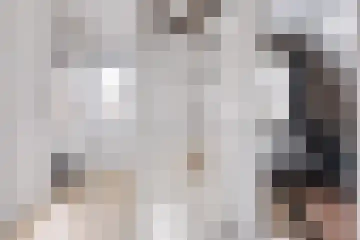 Hooijengastrjitte 16 Burgum thumbnail 22
