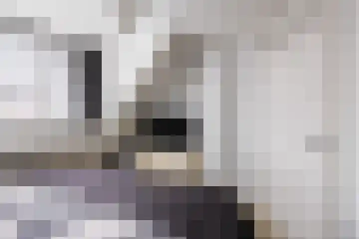 Hooijengastrjitte 16 Burgum thumbnail 26