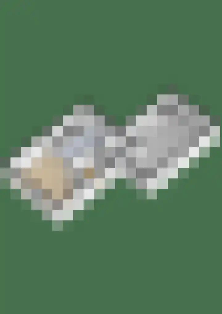 Hooijengastrjitte 16 Burgum thumbnail 38