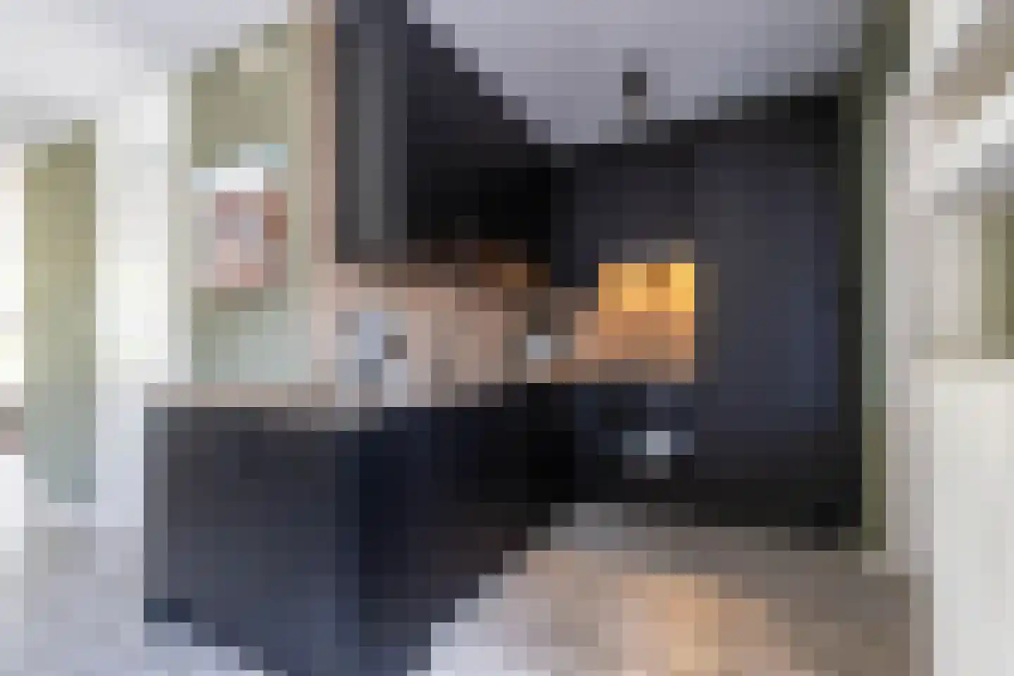 Hooijengastrjitte 18 Burgum thumbnail 20