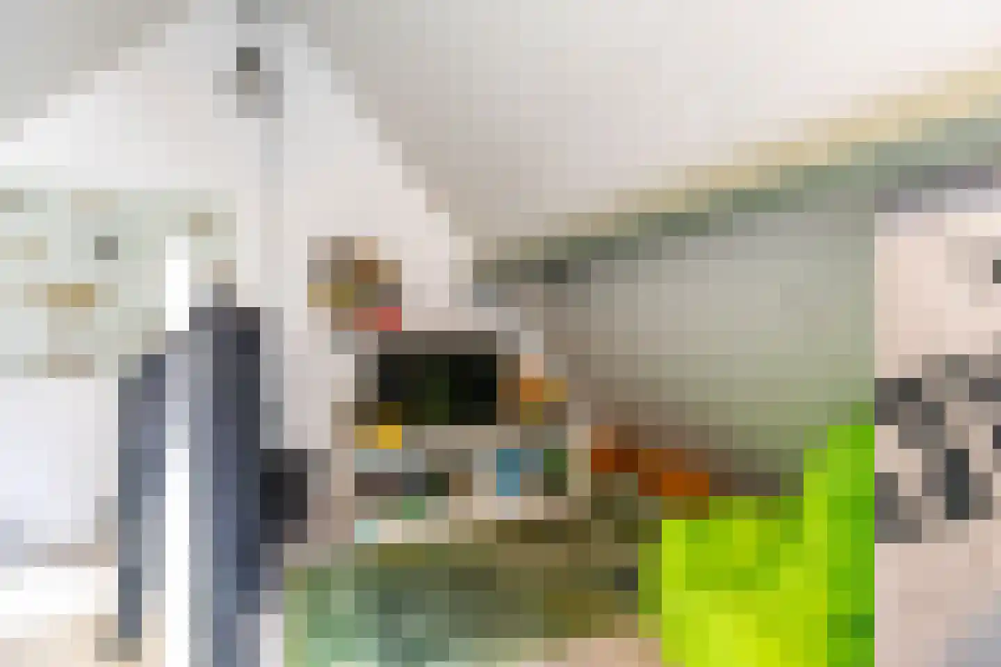 Hooijengastrjitte 18 Burgum thumbnail 37