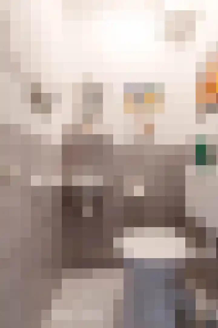 Hooijengastrjitte 19 Burgum thumbnail 11