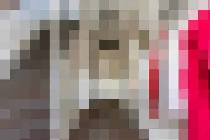 Hooijengastrjitte 19 Burgum thumbnail 12