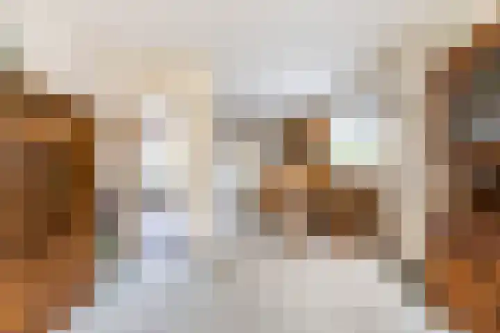 Hooijengastrjitte 19 Burgum thumbnail 16