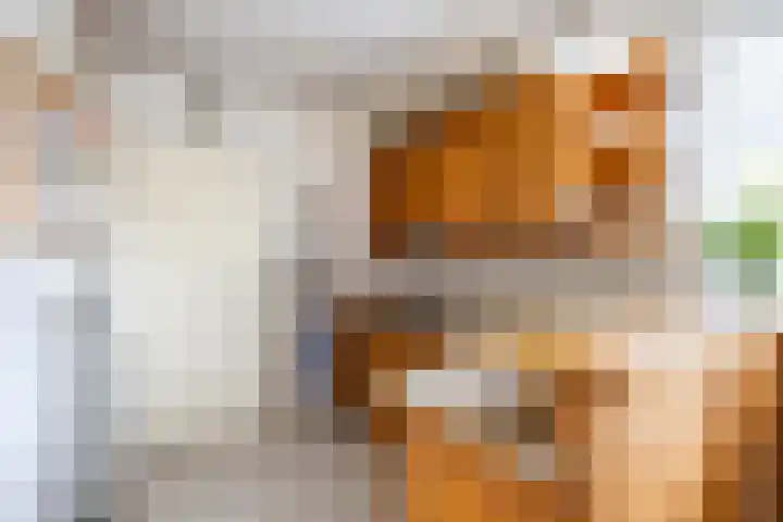 Hooijengastrjitte 19 Burgum thumbnail 18