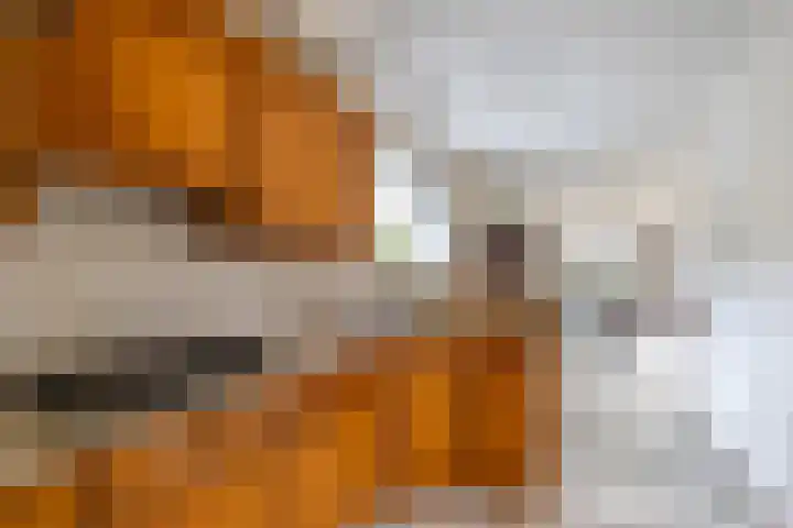 Hooijengastrjitte 19 Burgum thumbnail 19
