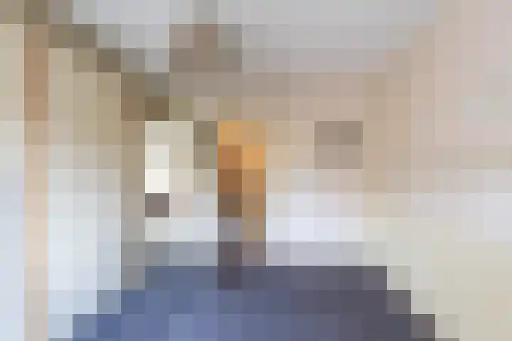 Hooijengastrjitte 19 Burgum thumbnail 21