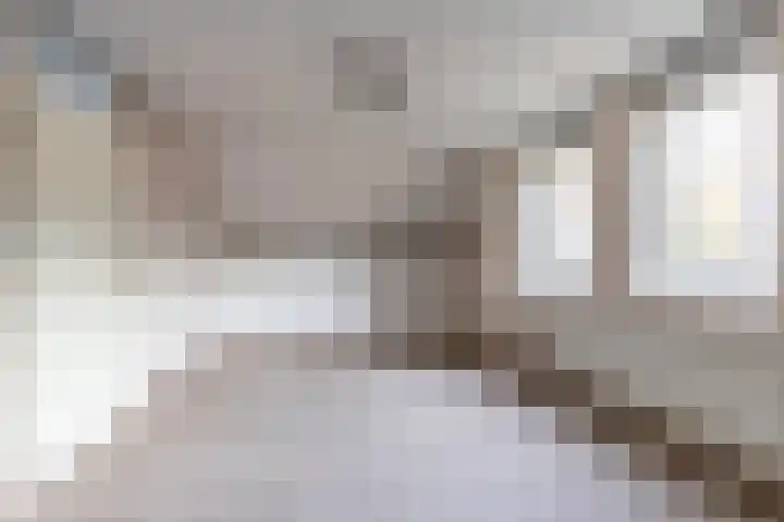 Hooijengastrjitte 19 Burgum thumbnail 32