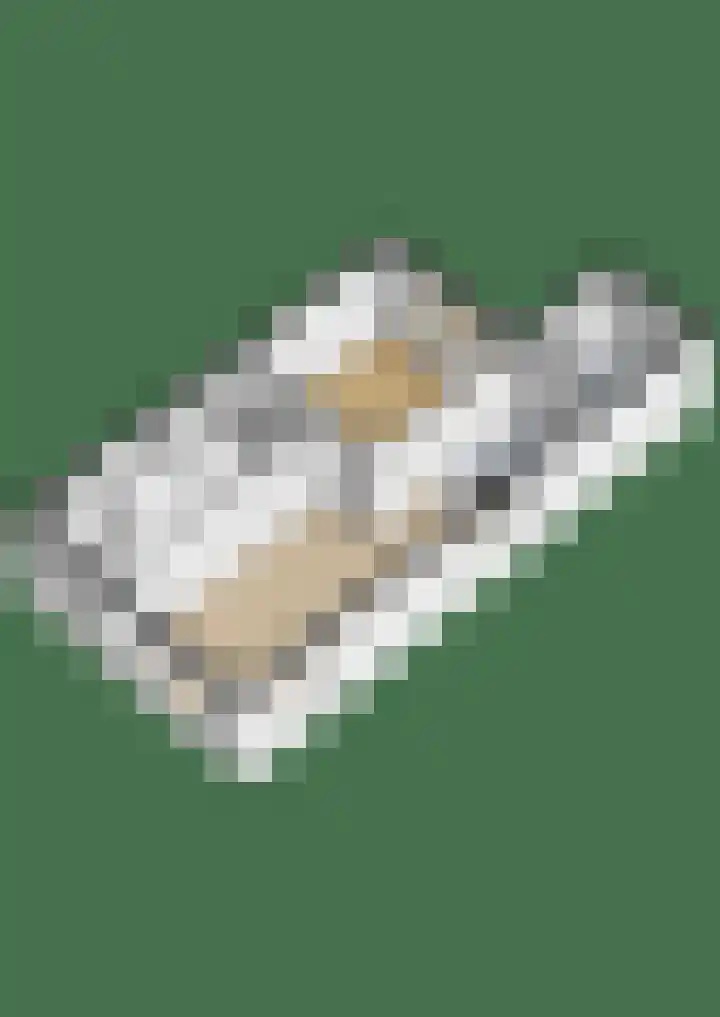 Hooijengastrjitte 19 Burgum thumbnail 34