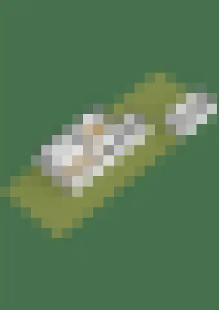 Hooijengastrjitte 19 Burgum thumbnail 40