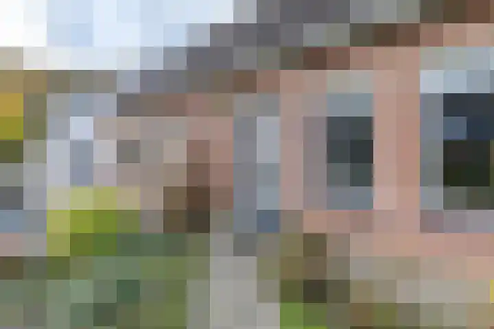 Hooijengastrjitte 19 Burgum thumbnail 6