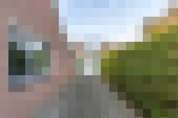 Hooijengastrjitte 19 Burgum thumbnail 7