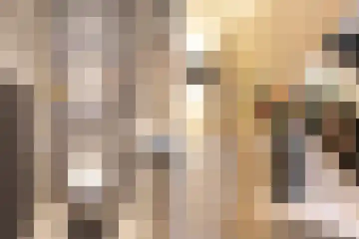 Hooijengastrjitte 6 Burgum thumbnail 11
