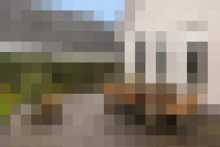 Hooijengastrjitte 6 Burgum thumbnail 22
