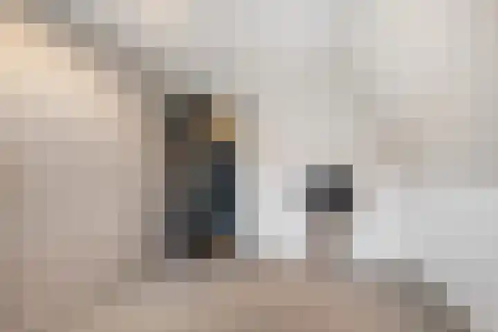 Hooijengastrjitte 6 Burgum thumbnail 40
