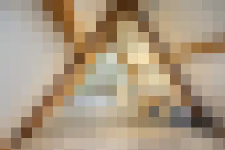 Hooijengastrjitte 6 Burgum thumbnail 43