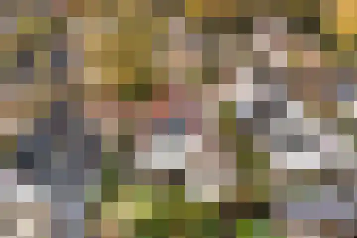 Hooijengastrjitte 6 Burgum thumbnail 46